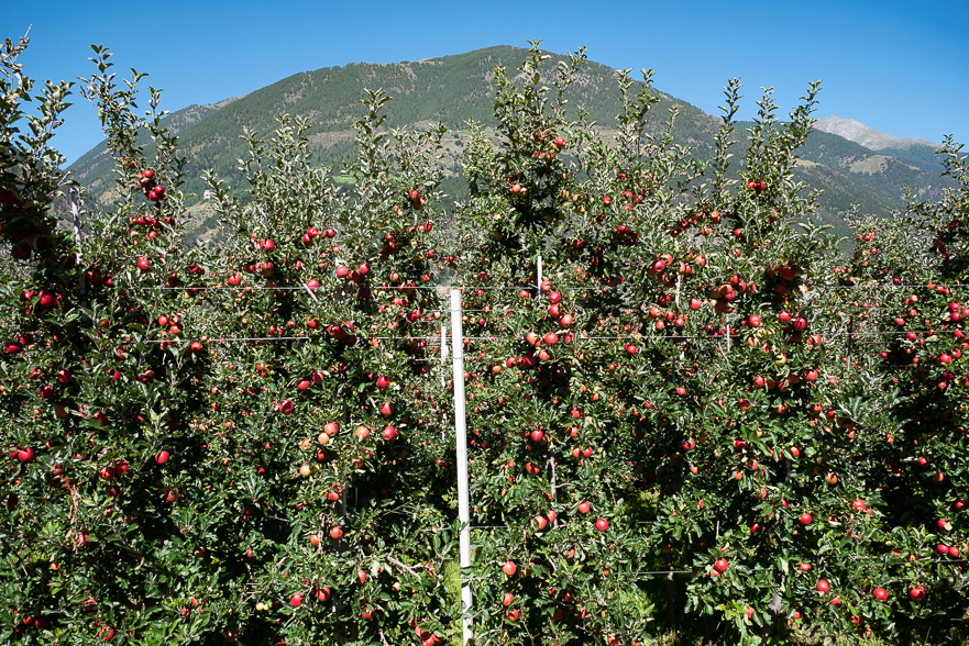 Südtirol, kurz vor Meran